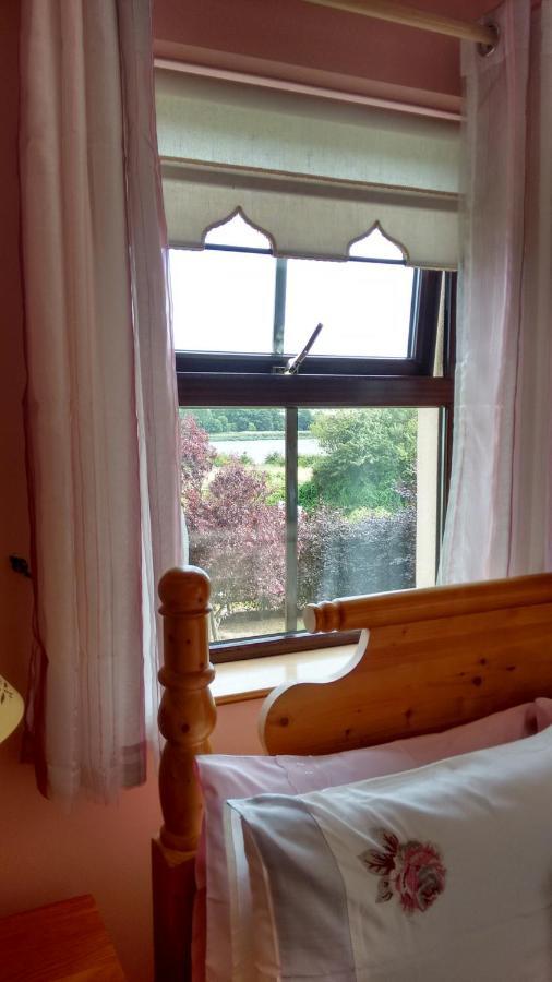 Grannagh Castle House Bed & Breakfast Waterford Ngoại thất bức ảnh