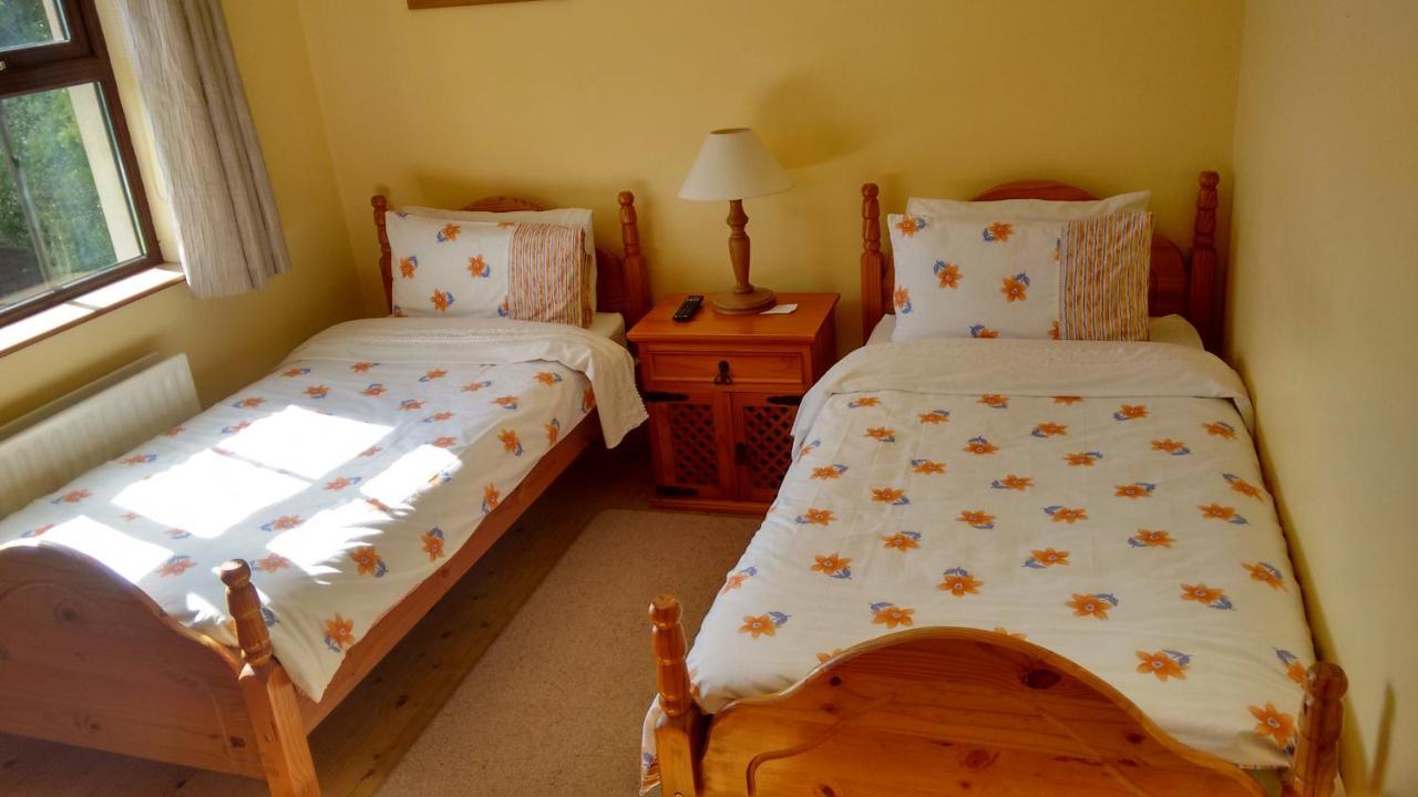 Grannagh Castle House Bed & Breakfast Waterford Ngoại thất bức ảnh