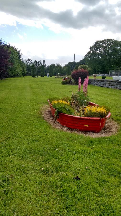 Grannagh Castle House Bed & Breakfast Waterford Ngoại thất bức ảnh