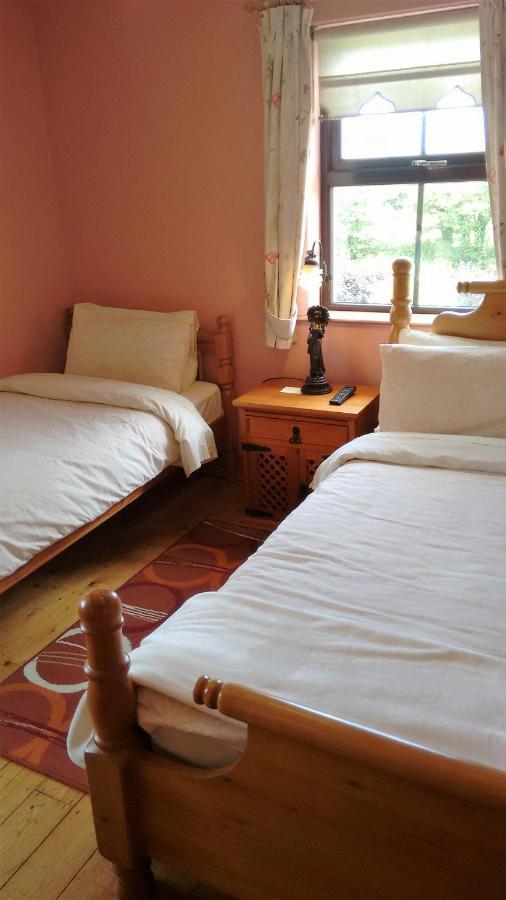Grannagh Castle House Bed & Breakfast Waterford Ngoại thất bức ảnh