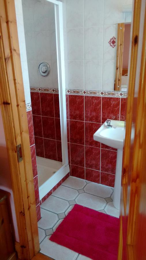 Grannagh Castle House Bed & Breakfast Waterford Ngoại thất bức ảnh