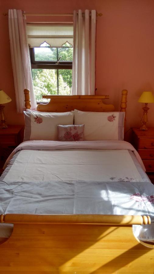 Grannagh Castle House Bed & Breakfast Waterford Ngoại thất bức ảnh
