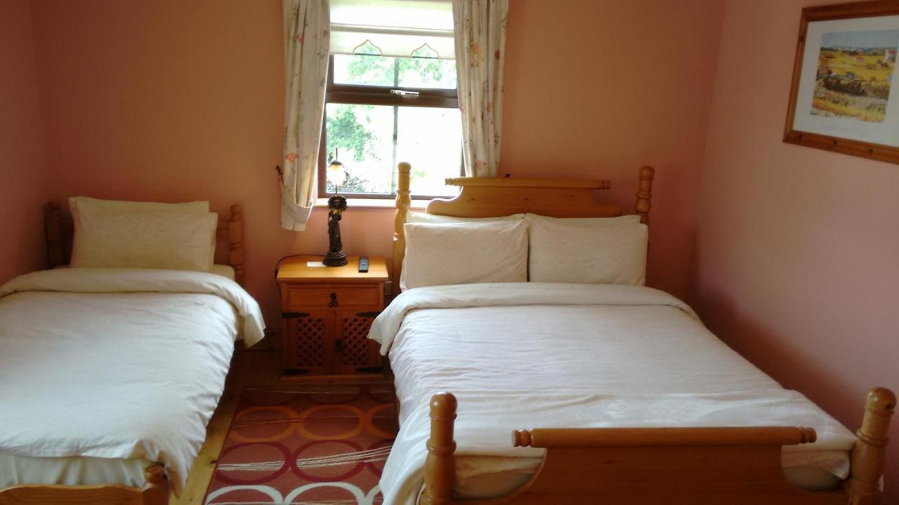 Grannagh Castle House Bed & Breakfast Waterford Ngoại thất bức ảnh